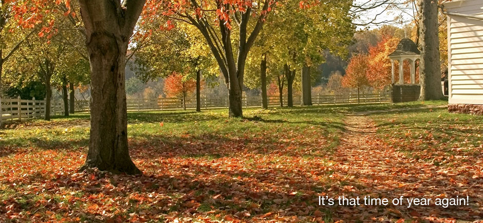 Columbus Ohio Leaf Removal